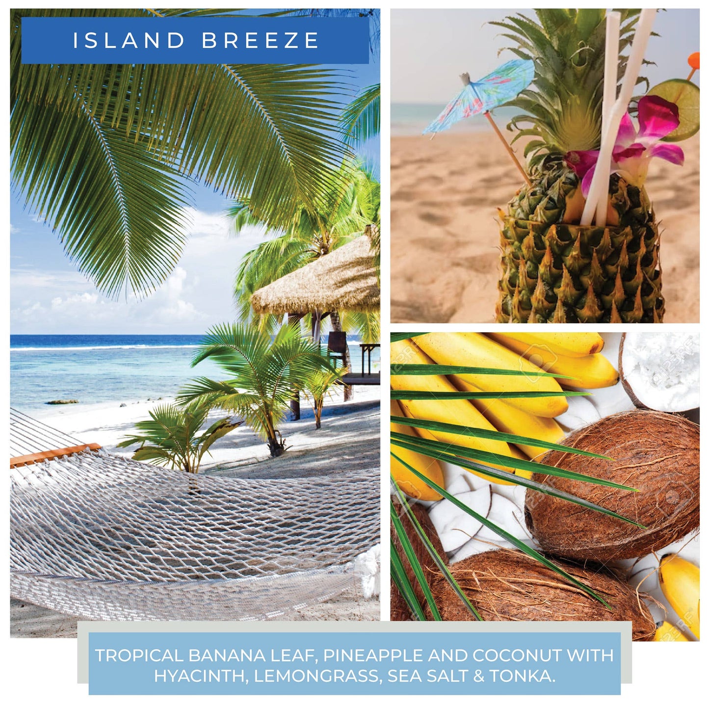 KOTL Mama Candle (22oz.) – Island Breeze