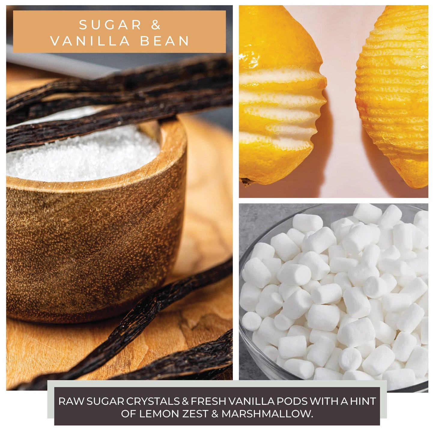 KOTL Baby Candle (6oz.) – Sugar & Vanilla Bean