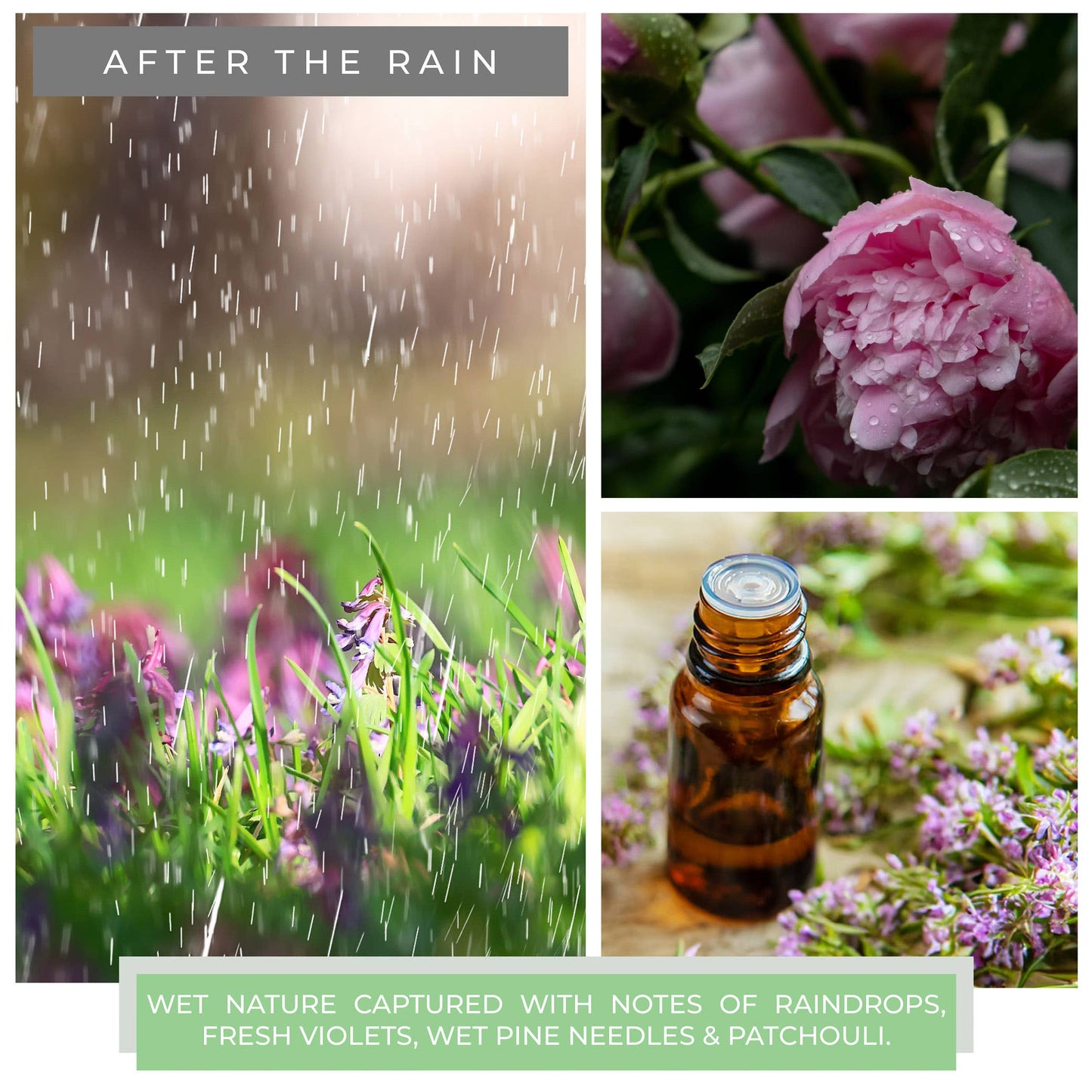 KOTL Mama Candle (22oz.) - After The Rain
