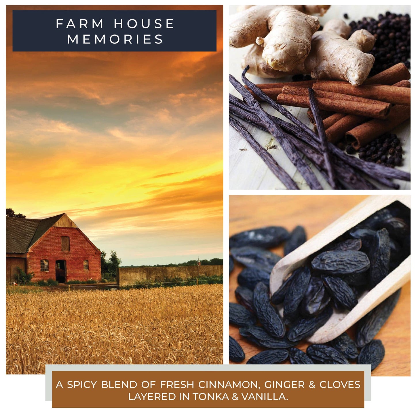 KOTL Baby Candle (6oz.) – Farm House Memories