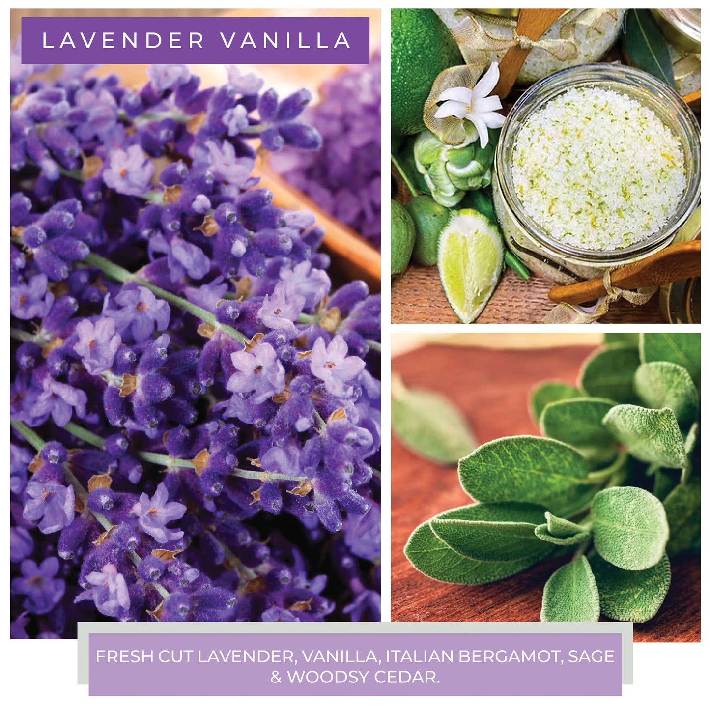 KOTL Baby Candle (6oz.) – Lavender Vanilla