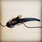 **Black and Gold Feather Band 983e No stone