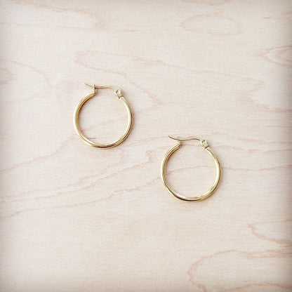 Small Stainless Steel Hoop Earrings 18K Gold Plating 219a