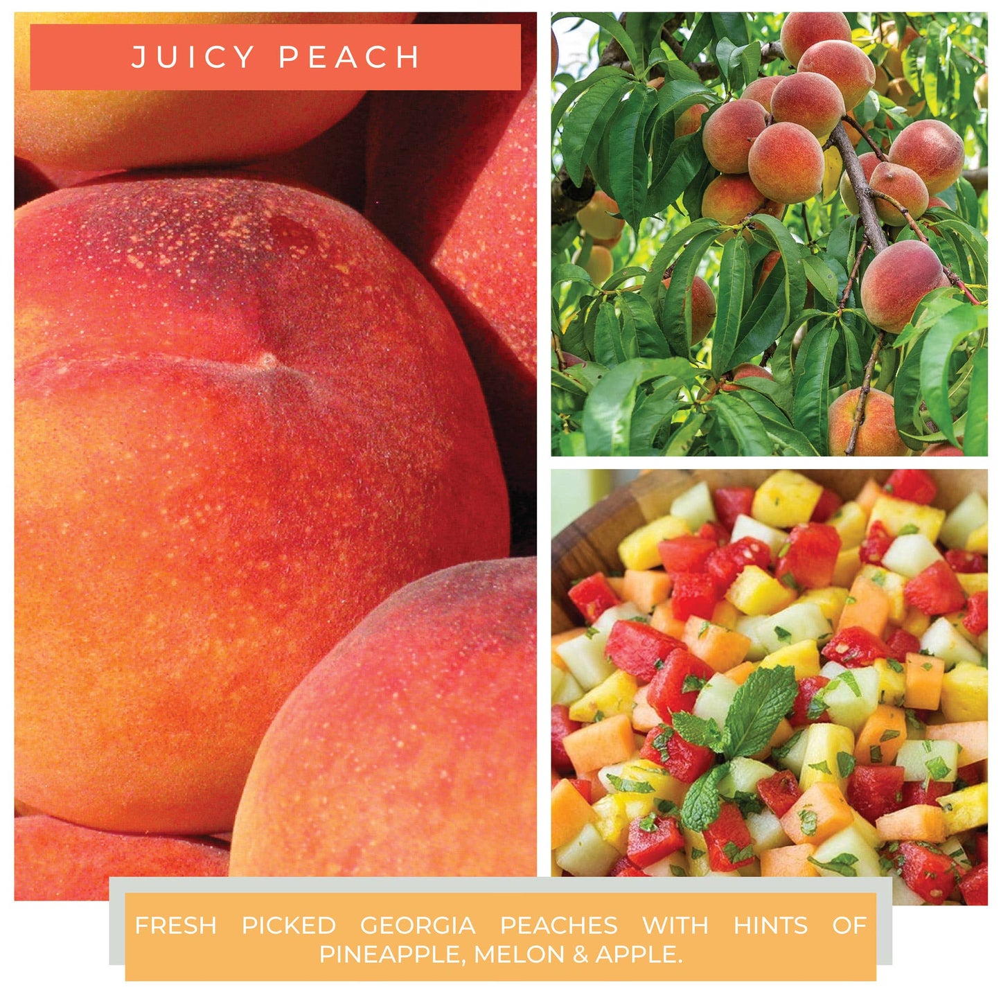 KOTL Mama Candle (22oz.) – Juicy Peach